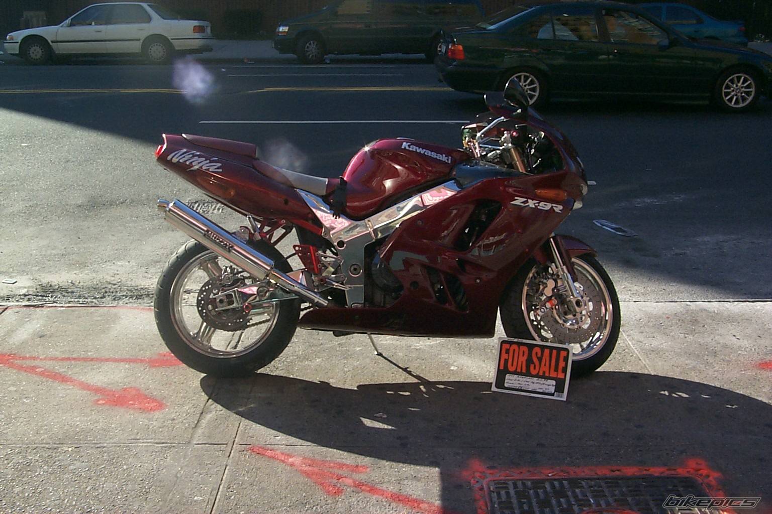 Photo 275654