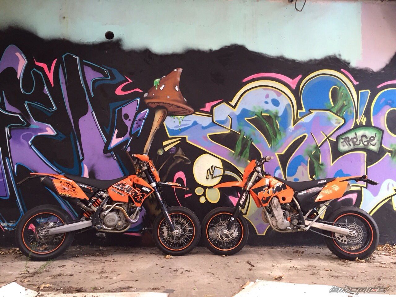 Photo 2756594