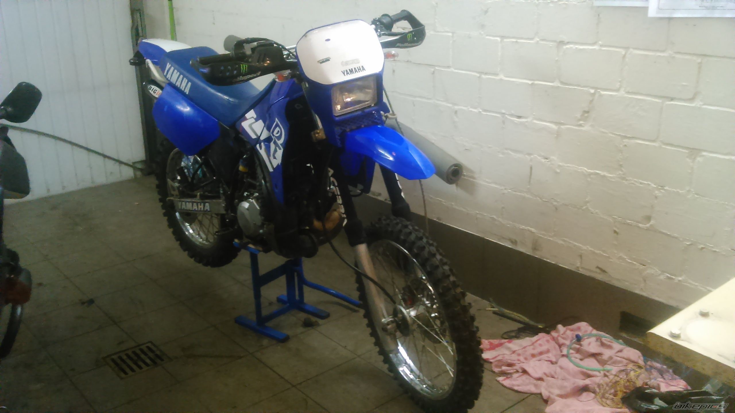 Photo 2756598