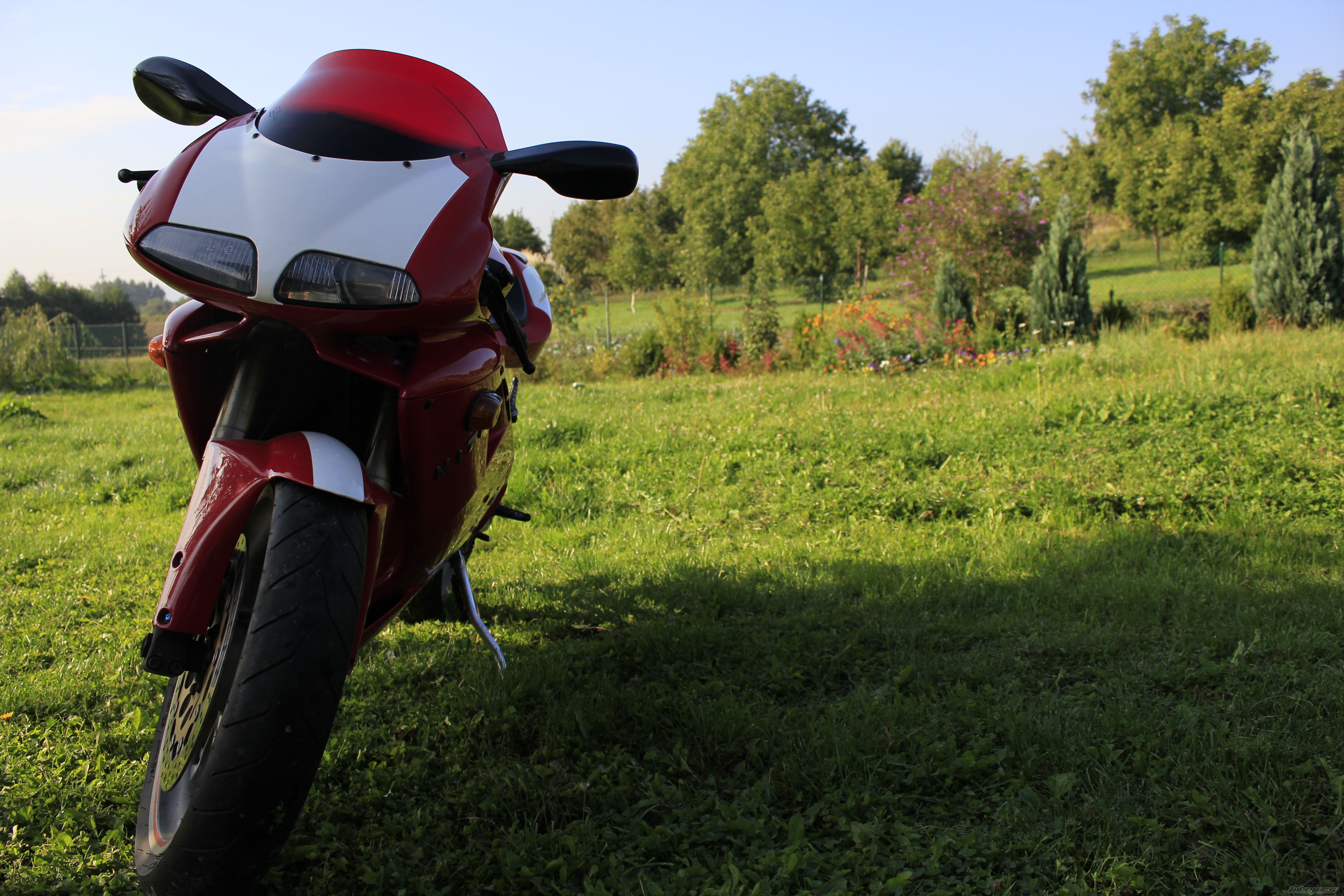 Photo 2756881
