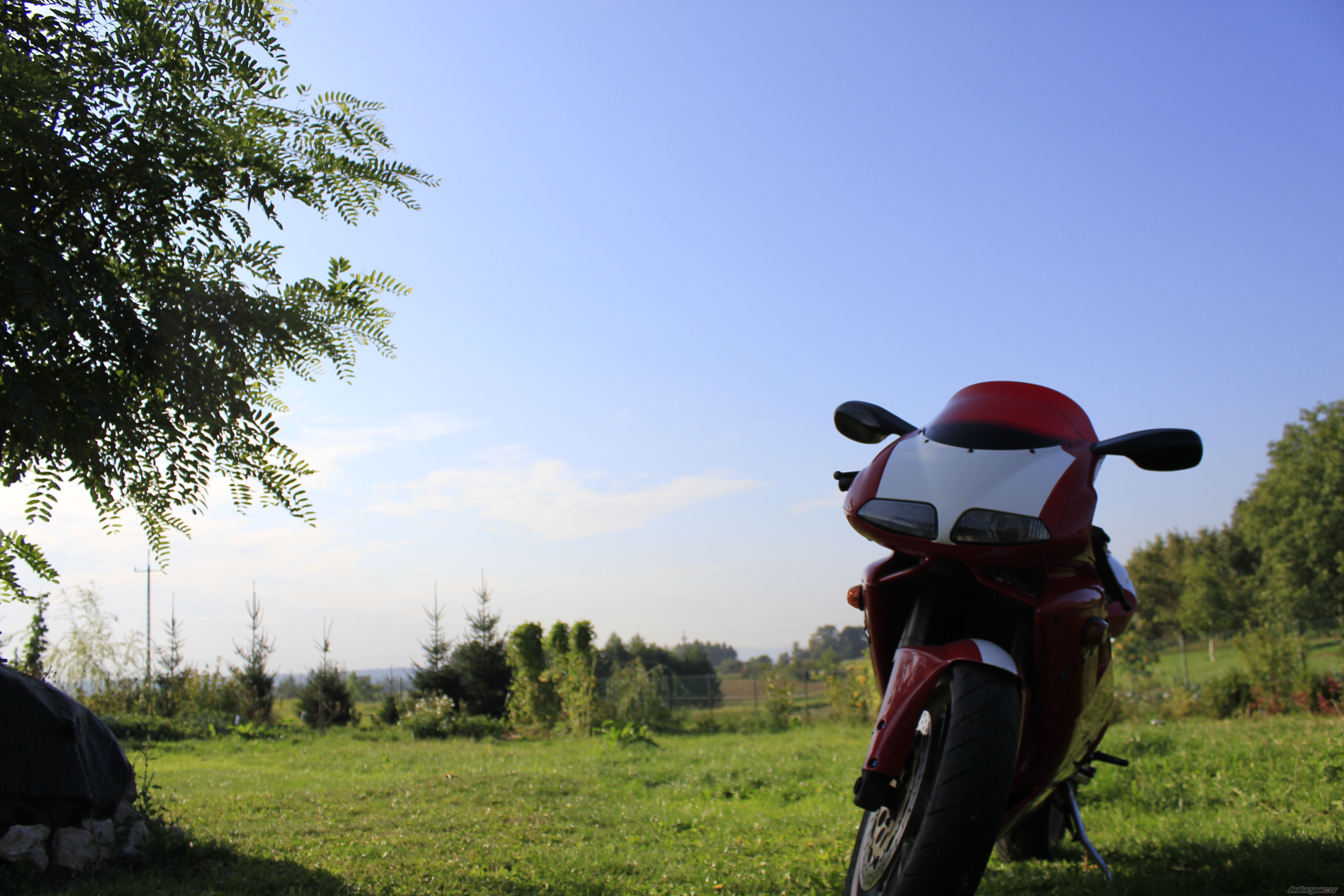 Photo 2756882