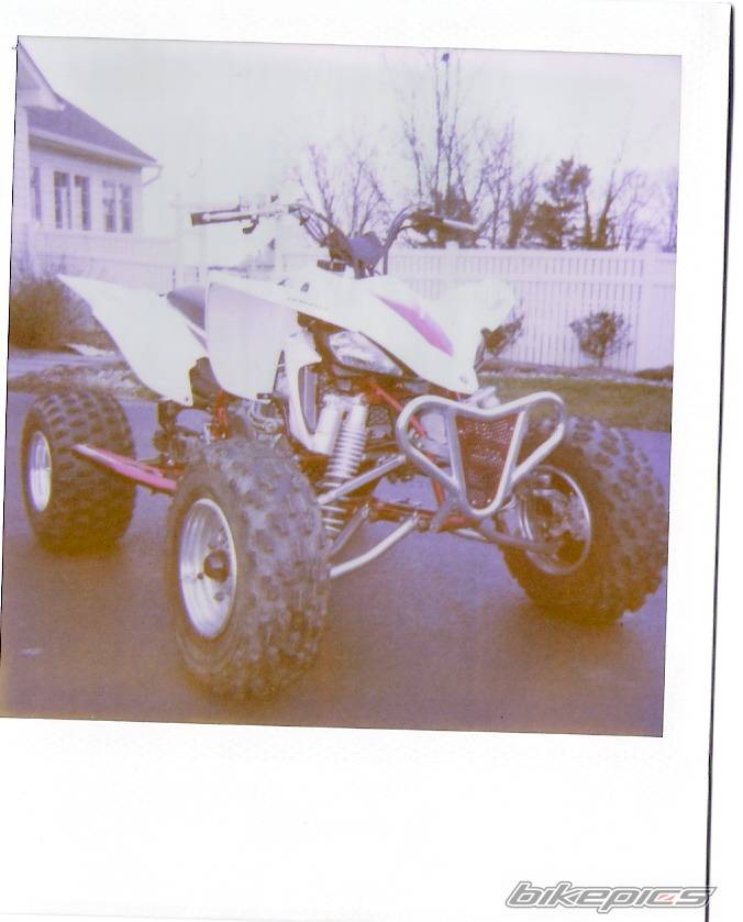 Photo 275689