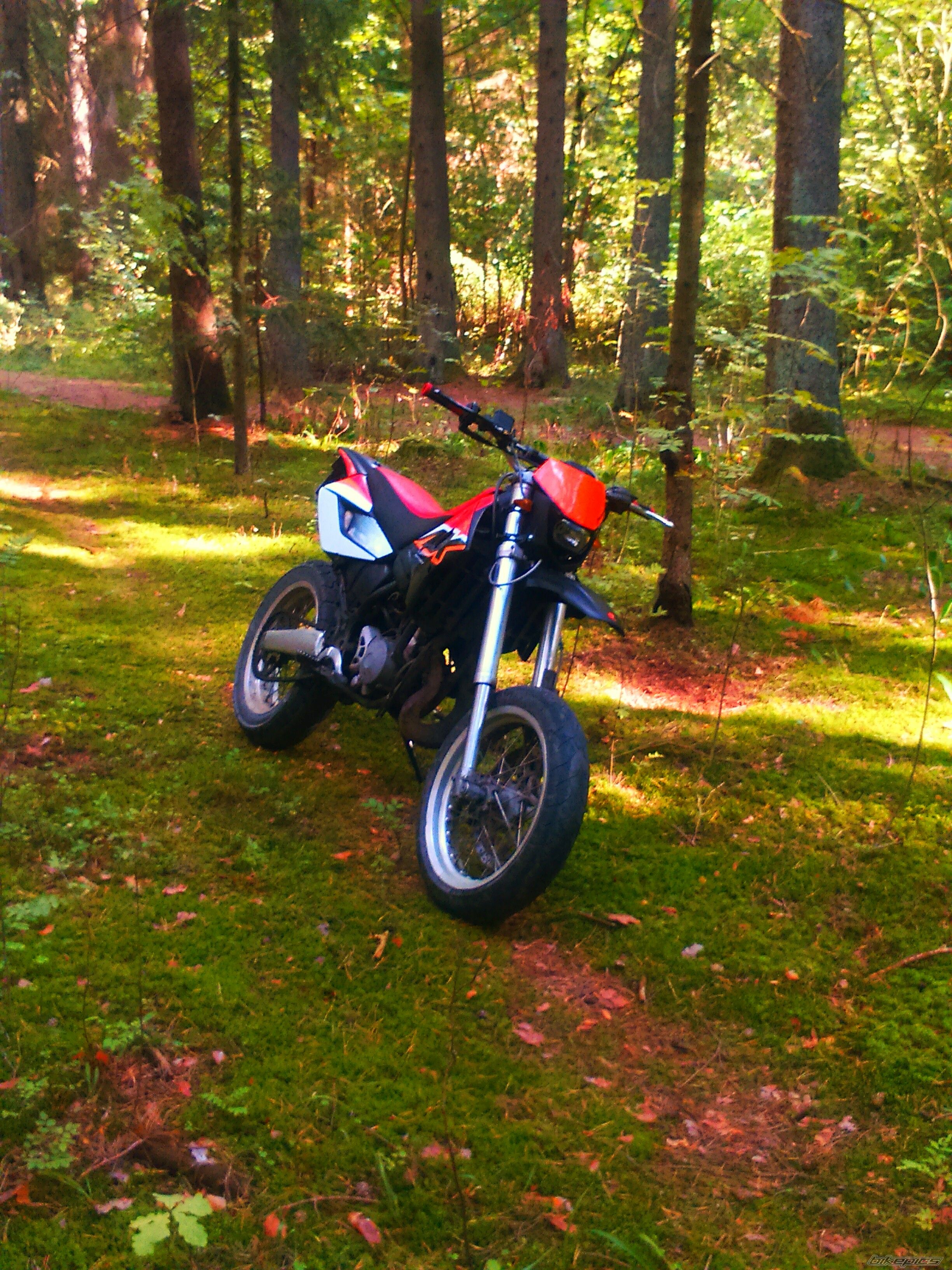Photo 2756895