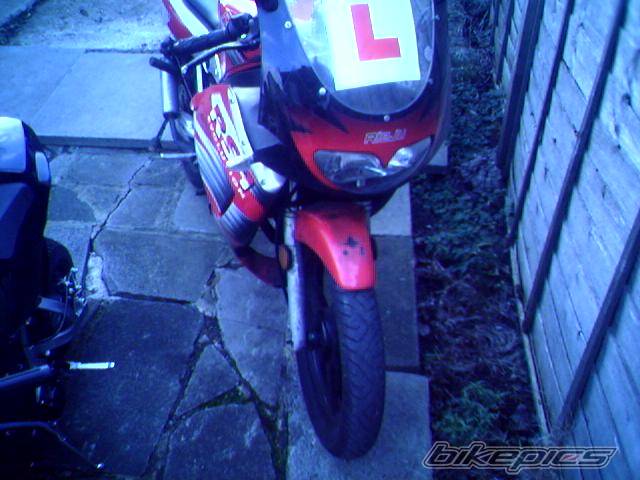 Photo 275692