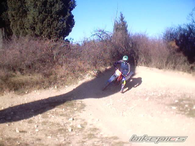 Photo 275704
