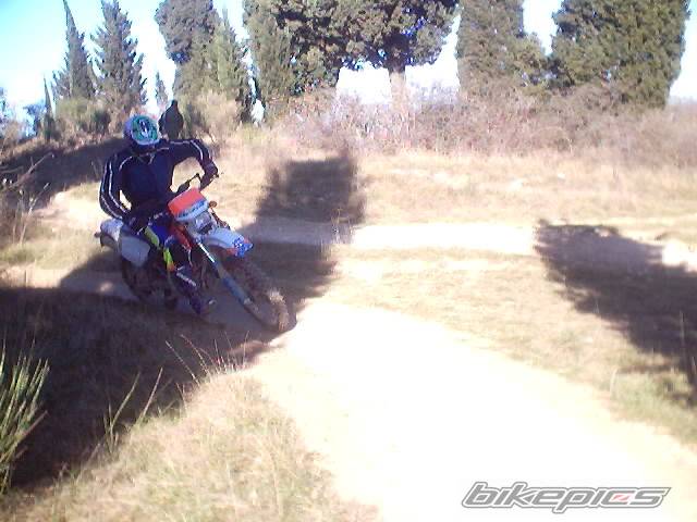 Photo 275709