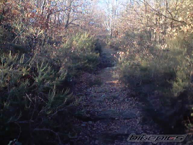 Photo 275713