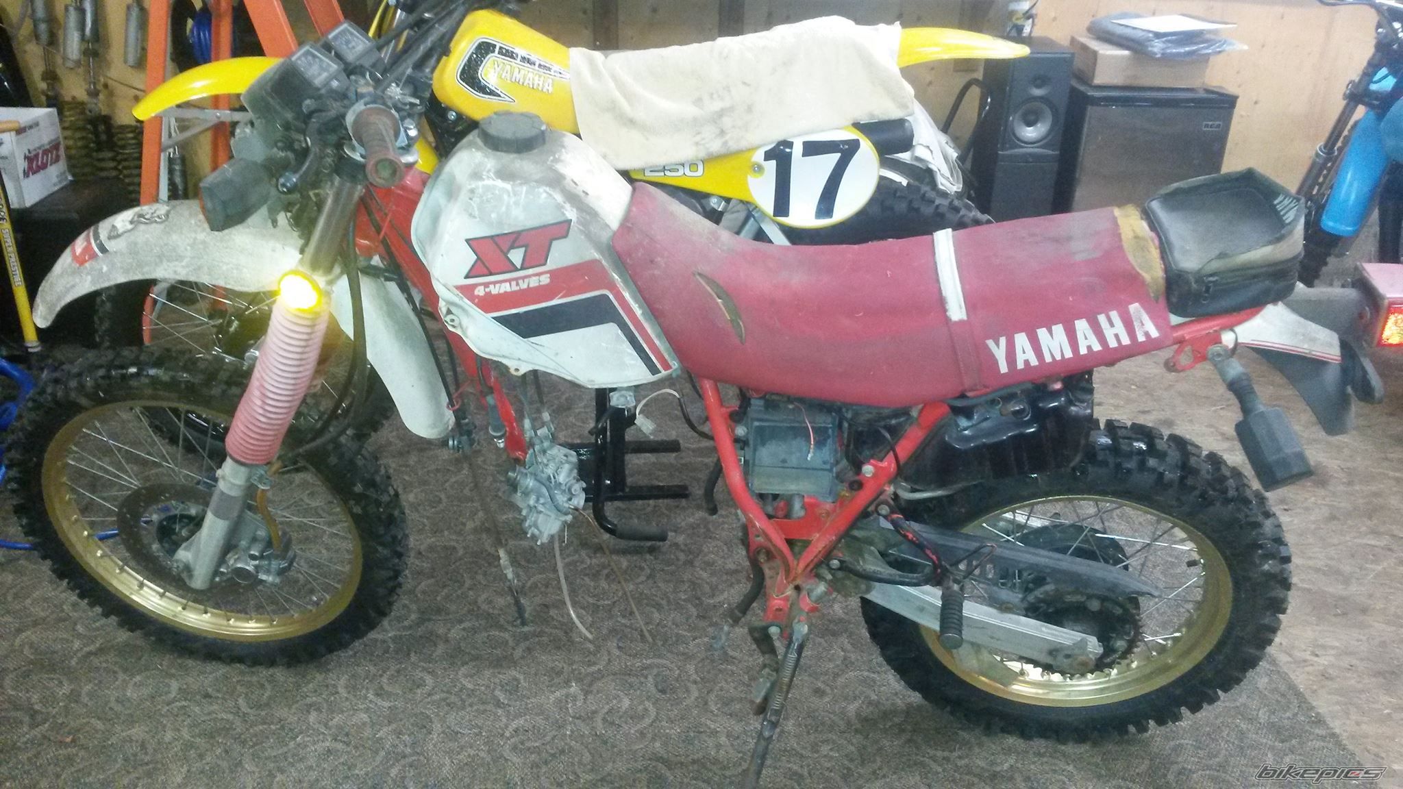 Photo 2757211