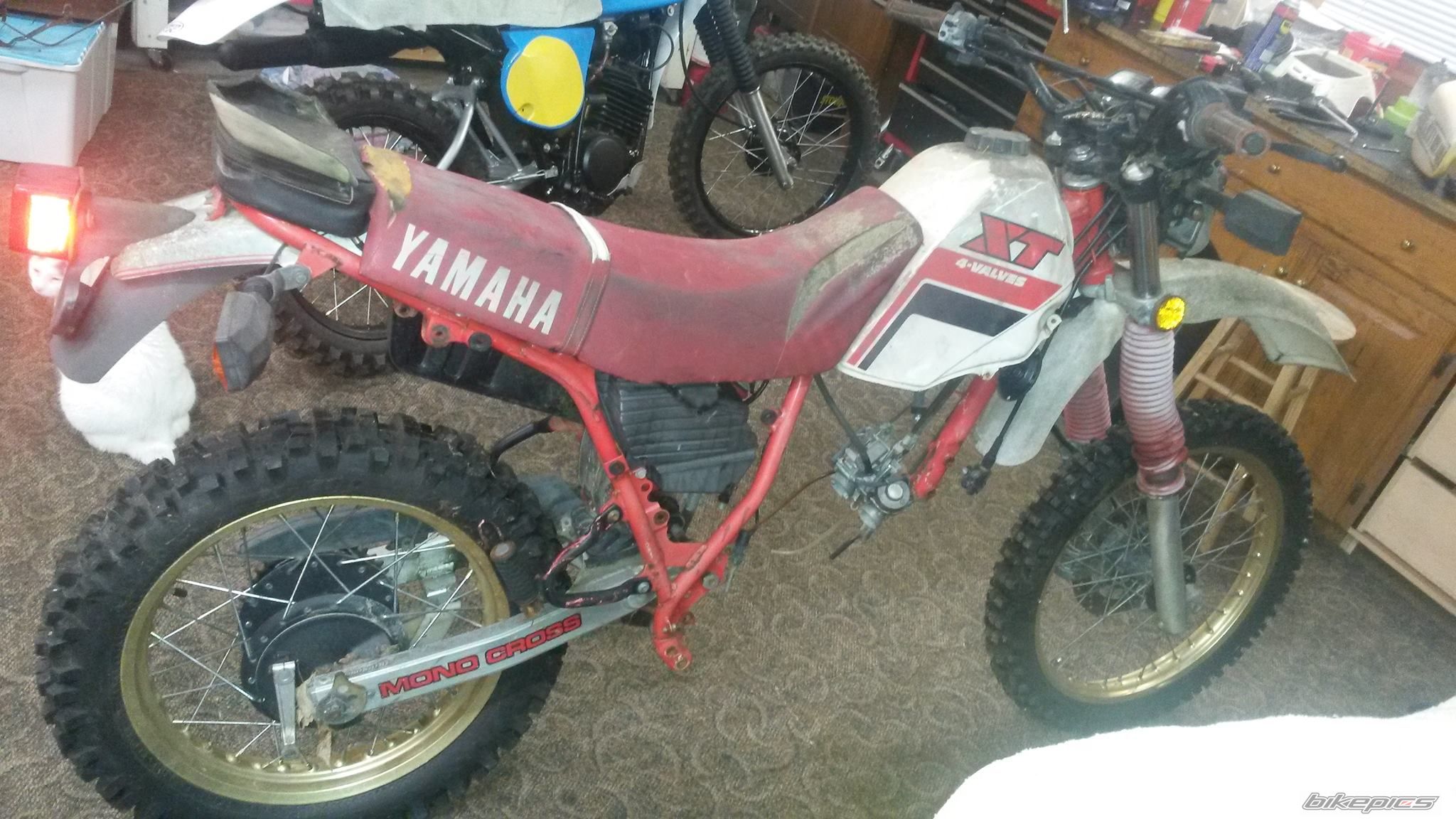 Photo 2757212