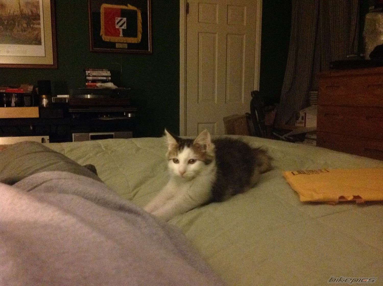 Photo 2757245