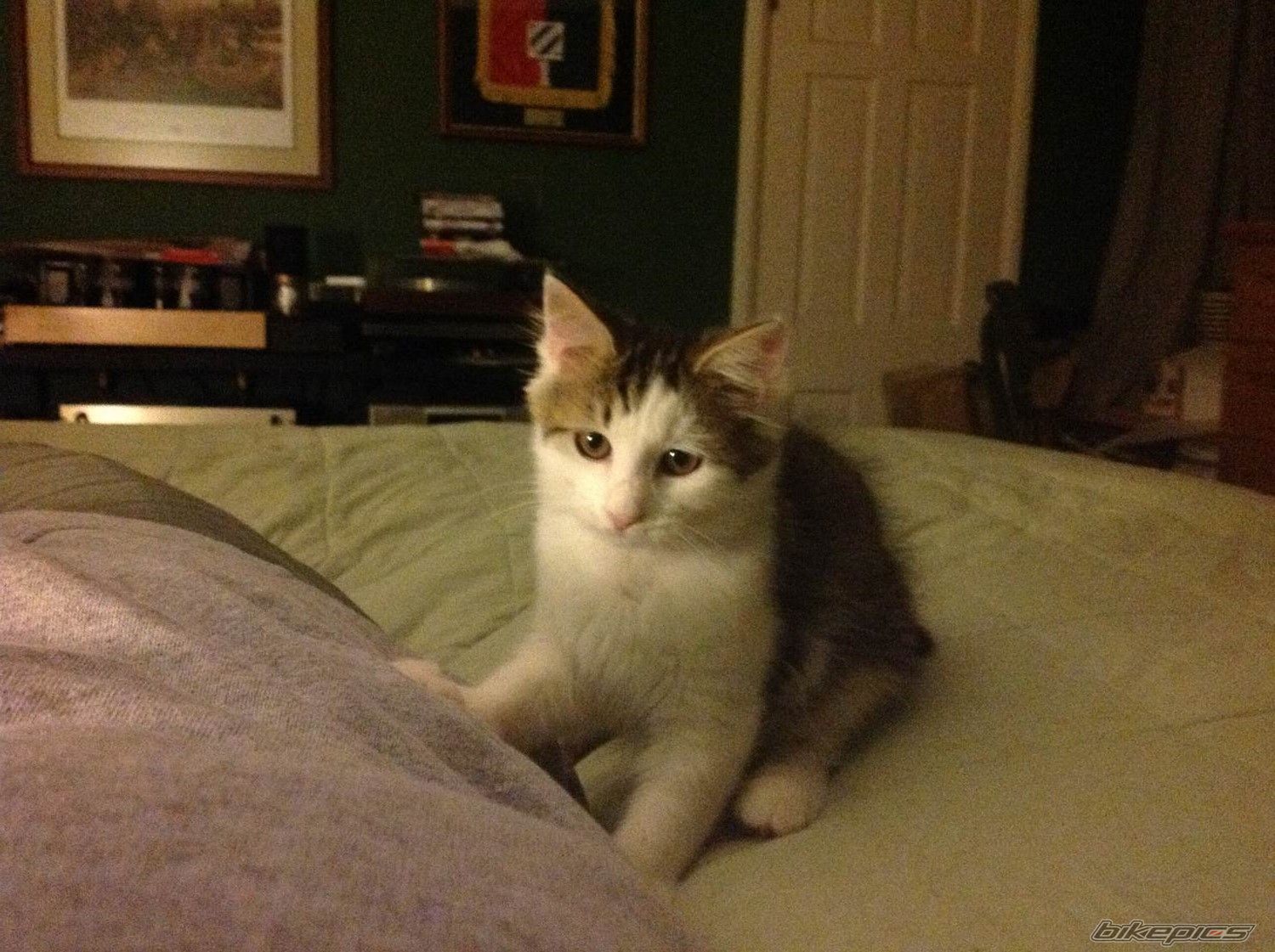 Photo 2757246