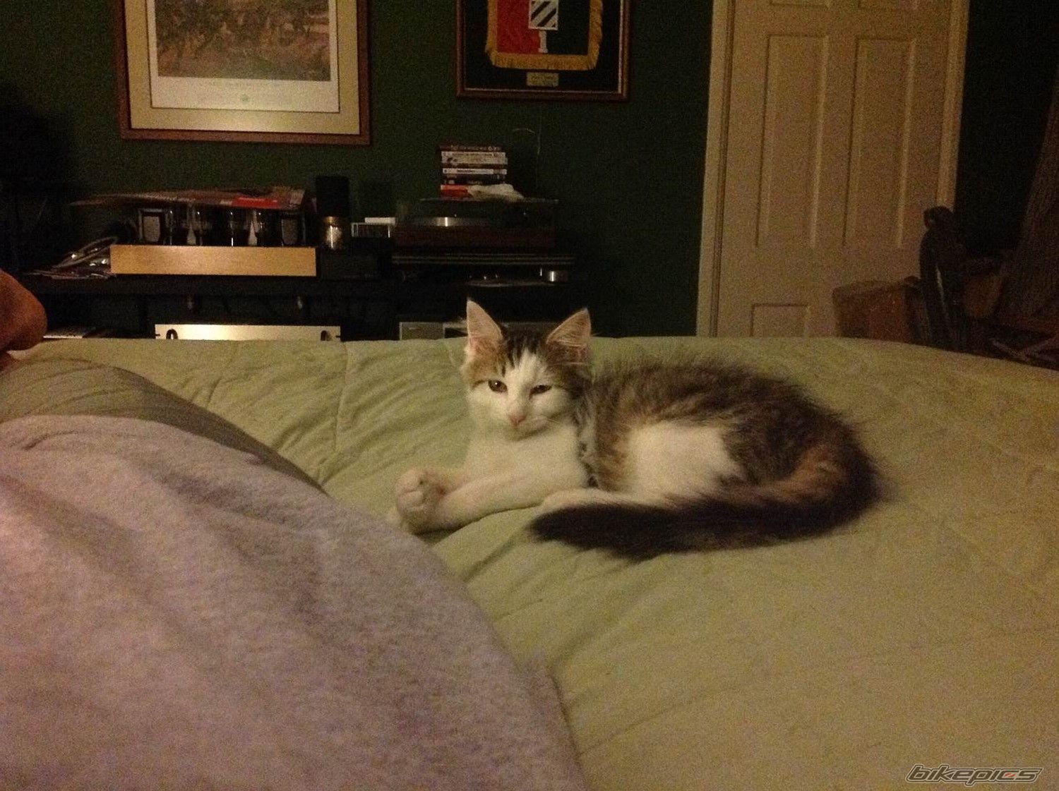 Photo 2757247