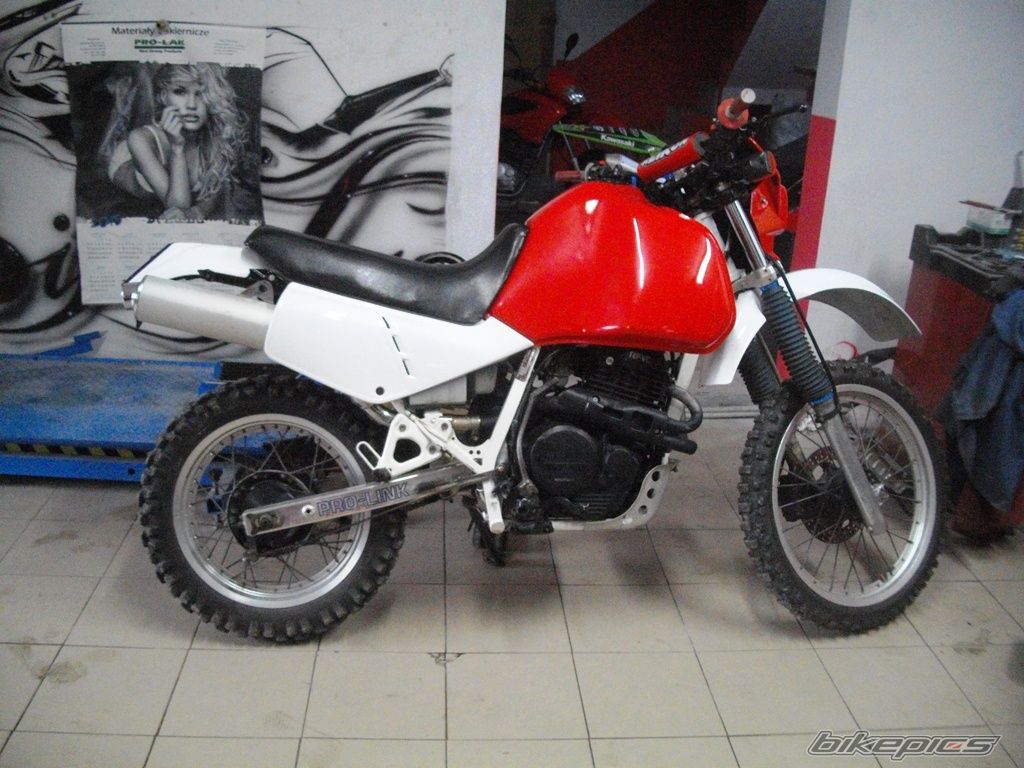 Photo 2757460