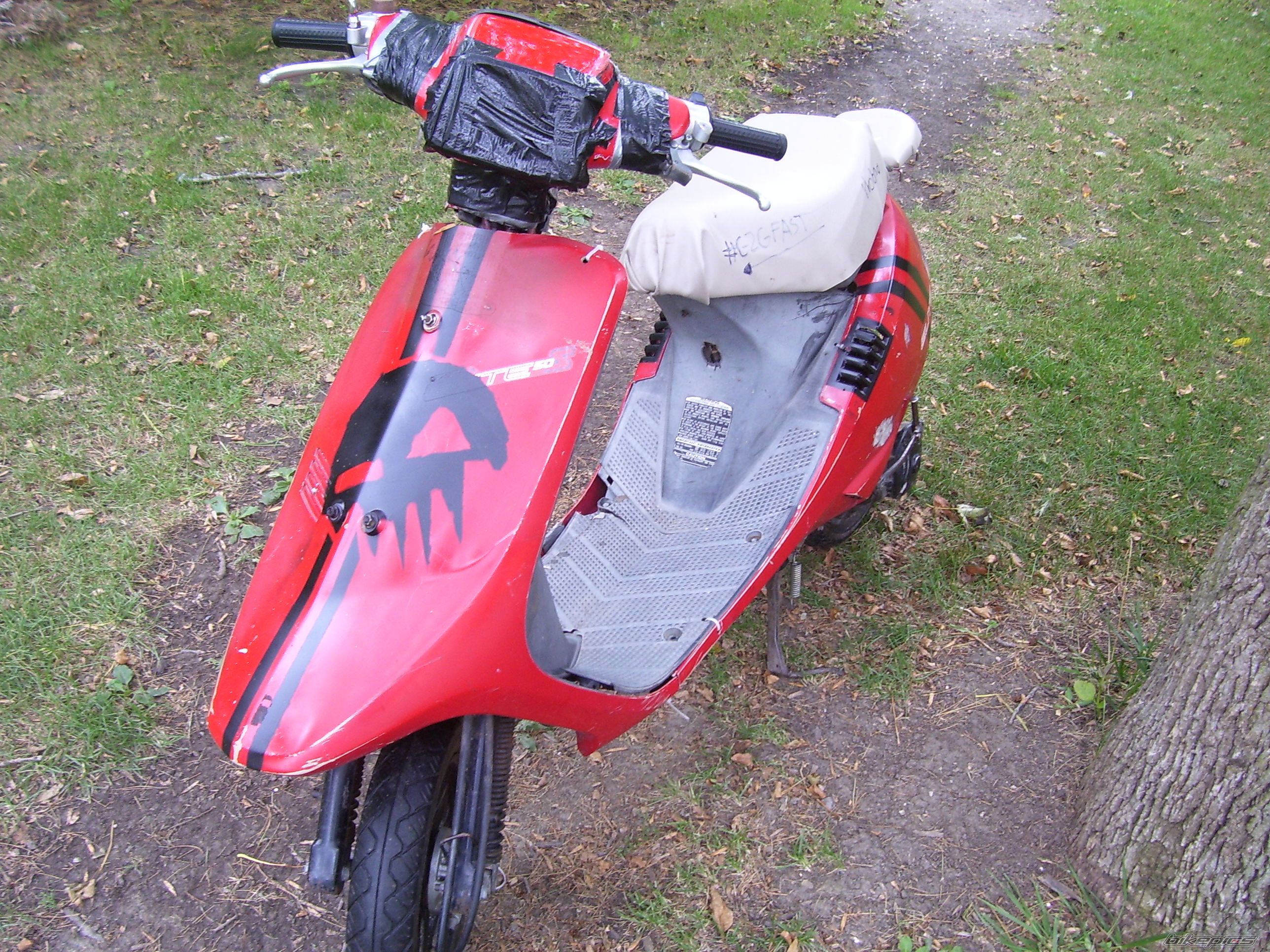 Photo 2757660