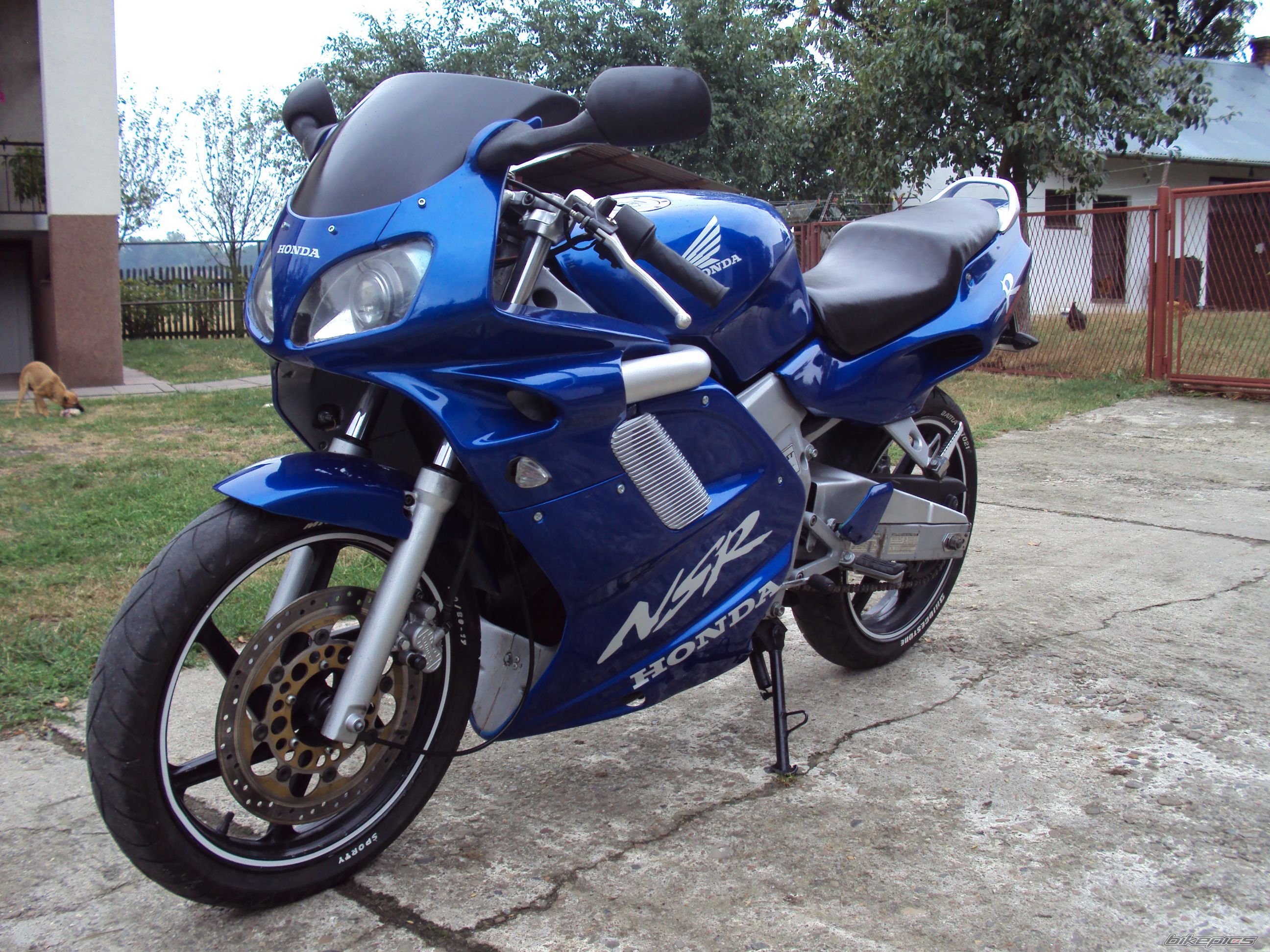Photo 2757722