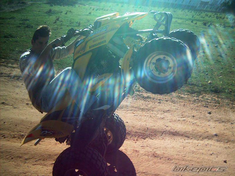Photo 275780