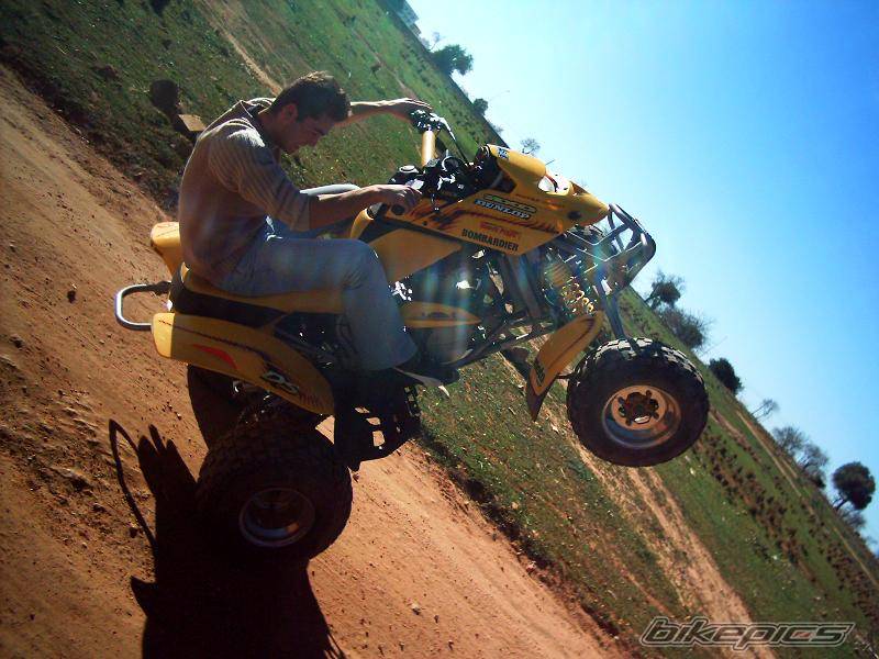 Photo 275781