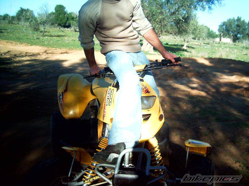 Photo 275783