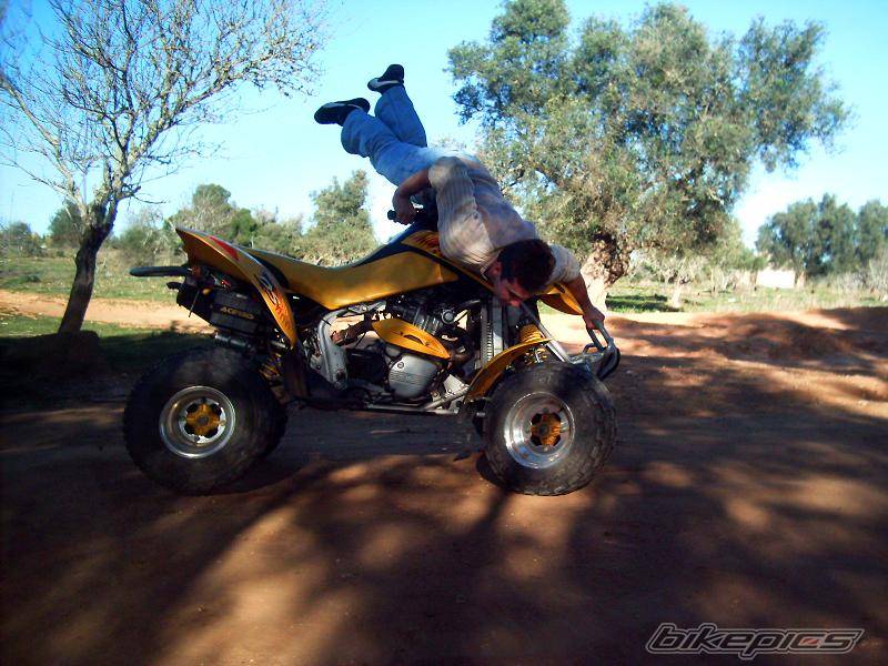 Photo 275784