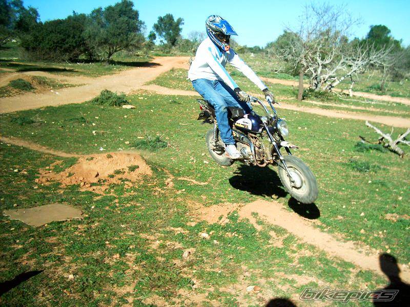 Bike Photo 275795