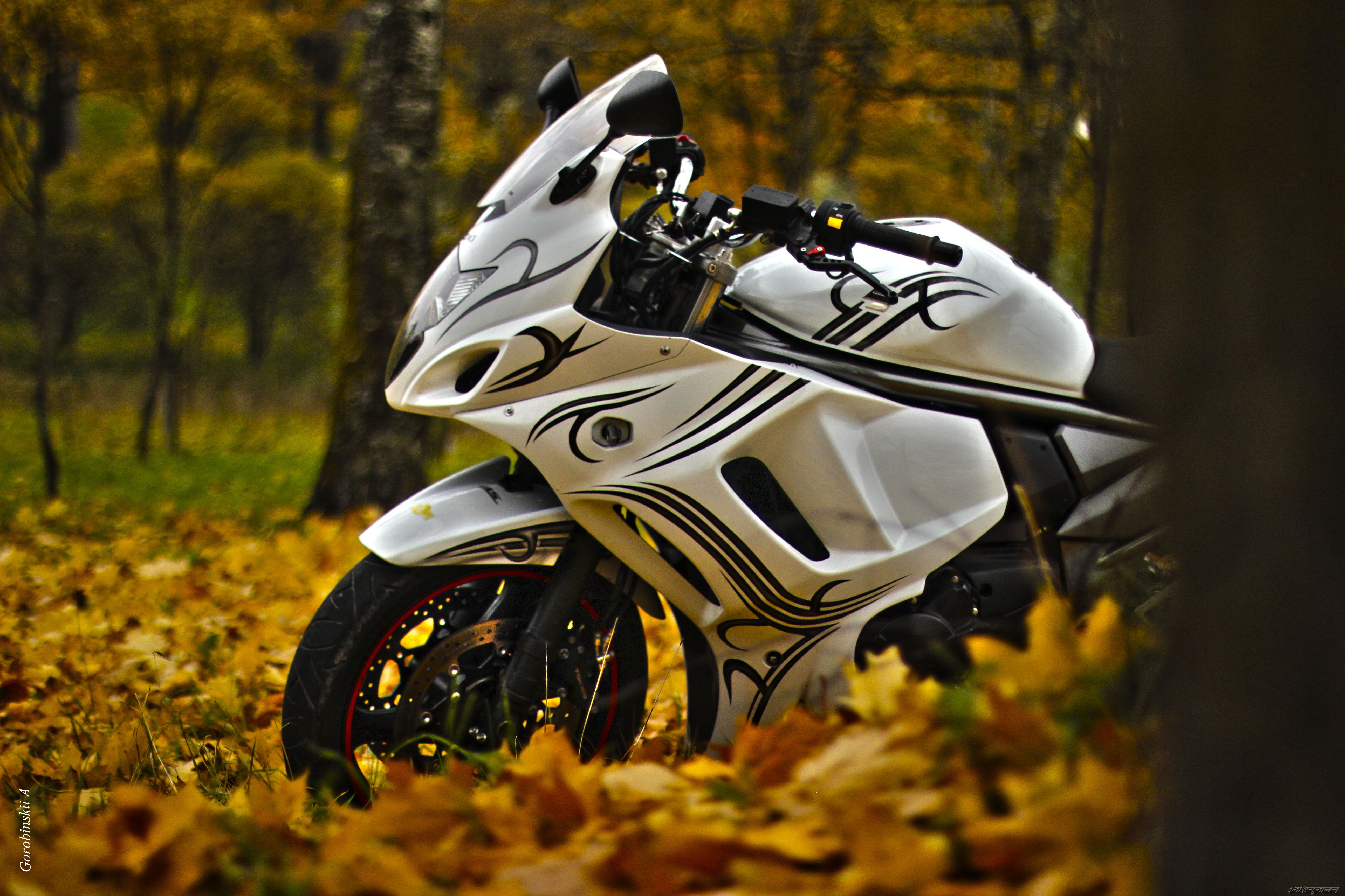 Bike Photo 2758049
