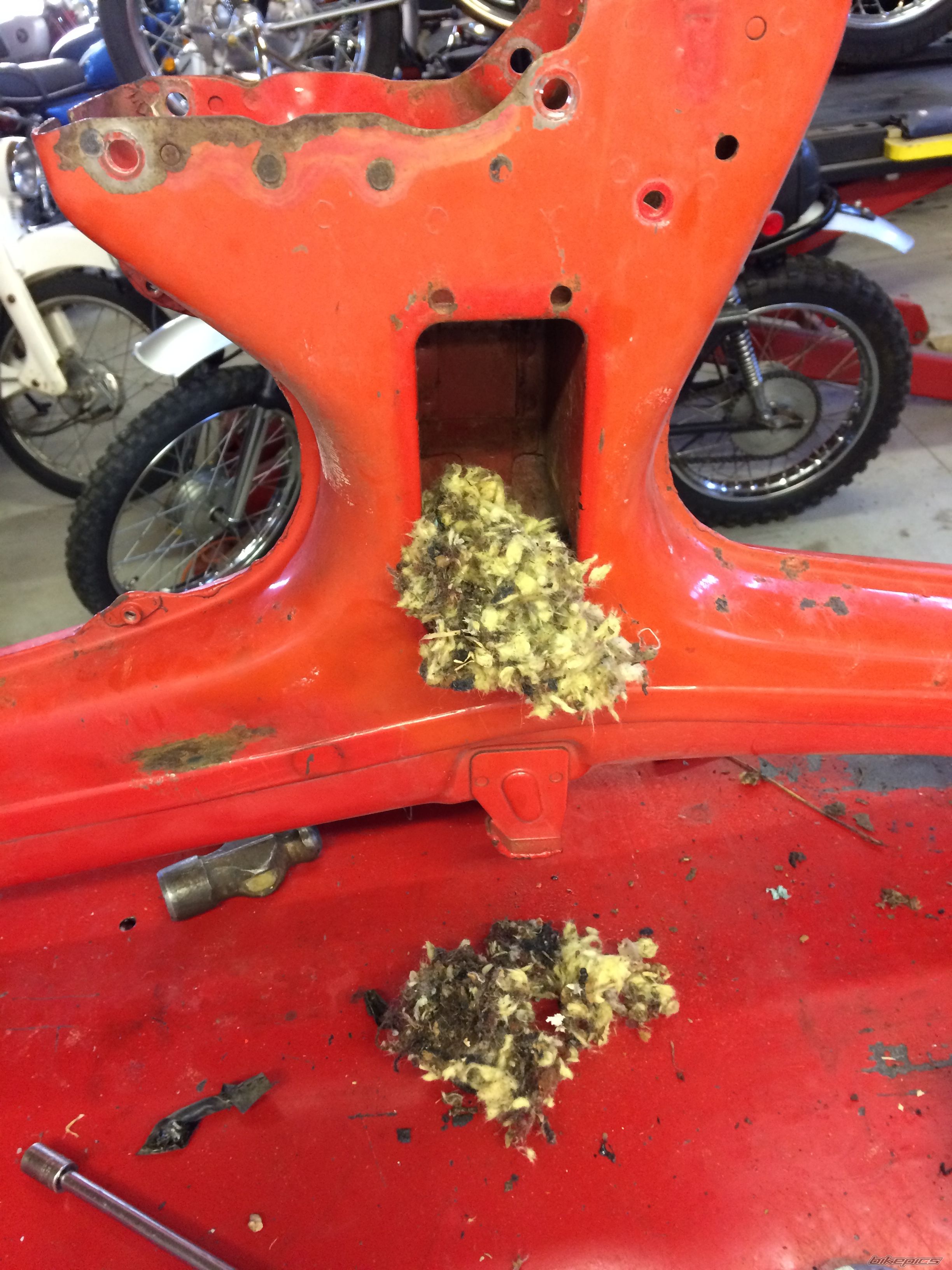 Photo 2758113