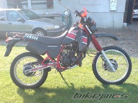 Photo 2758405
