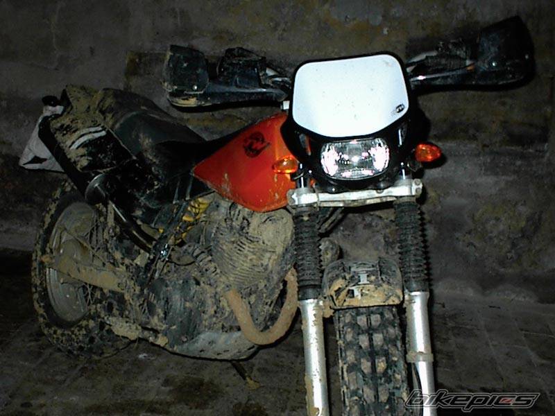 Photo 275853