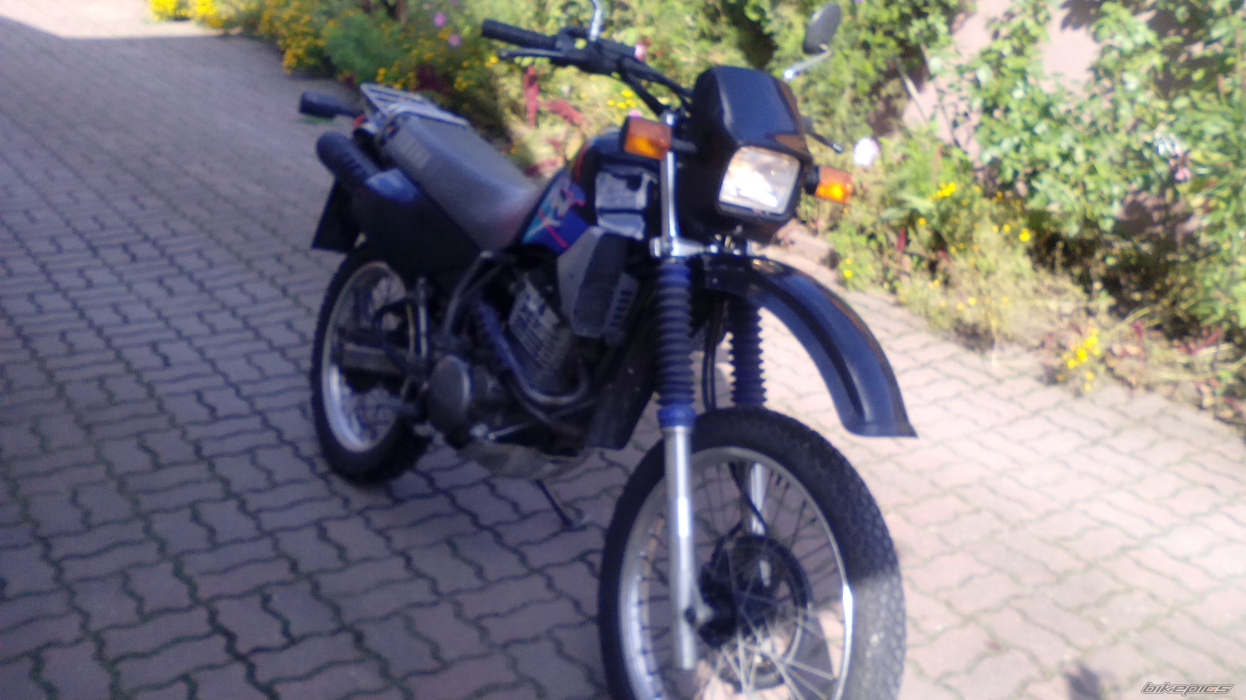 Photo 2758599