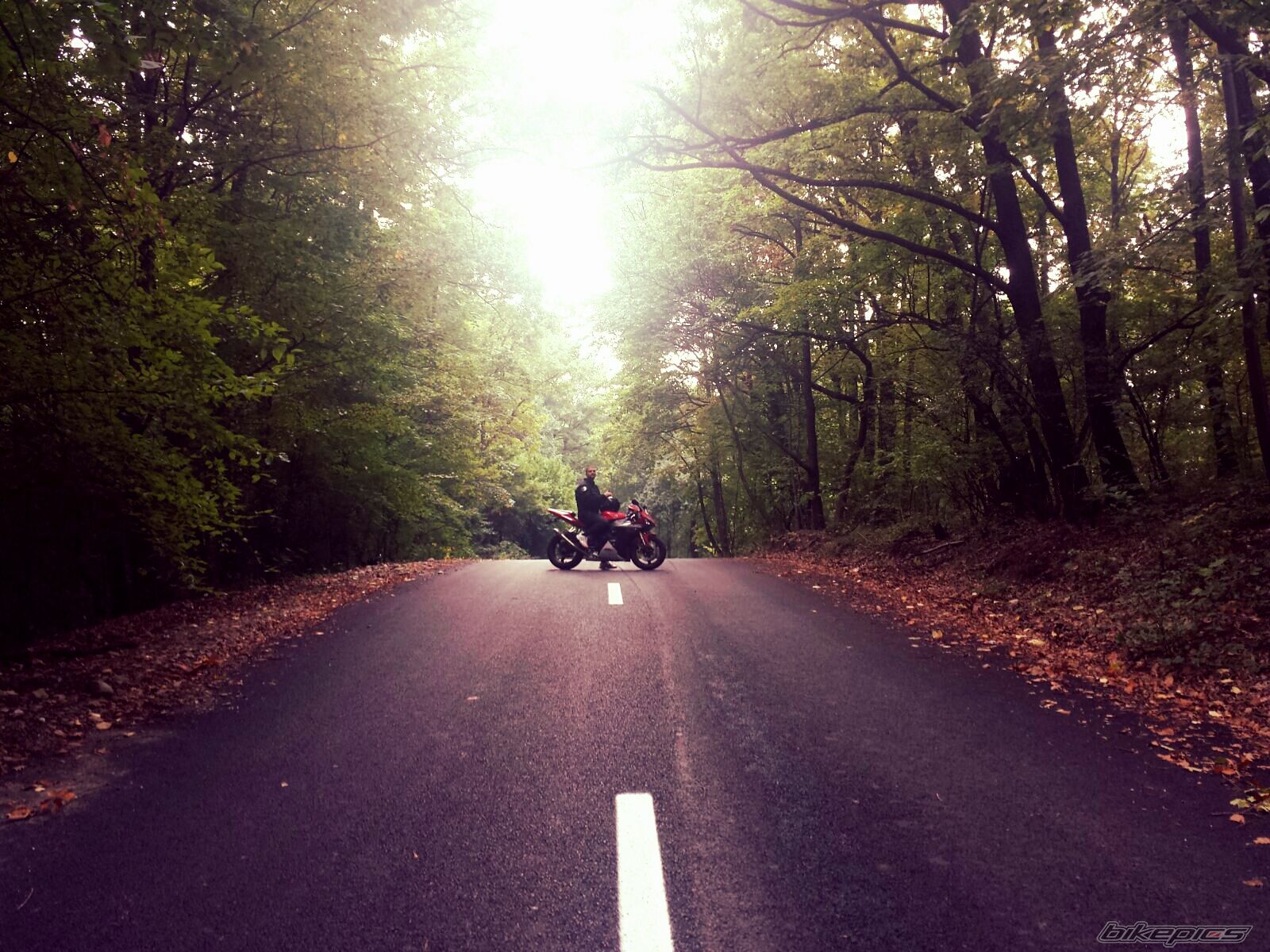 Bike Photo 2758827