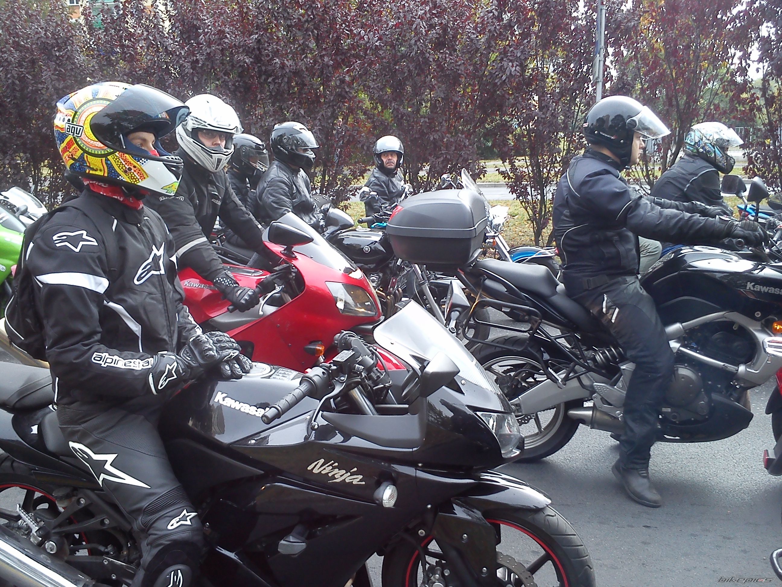 Photo 2758849