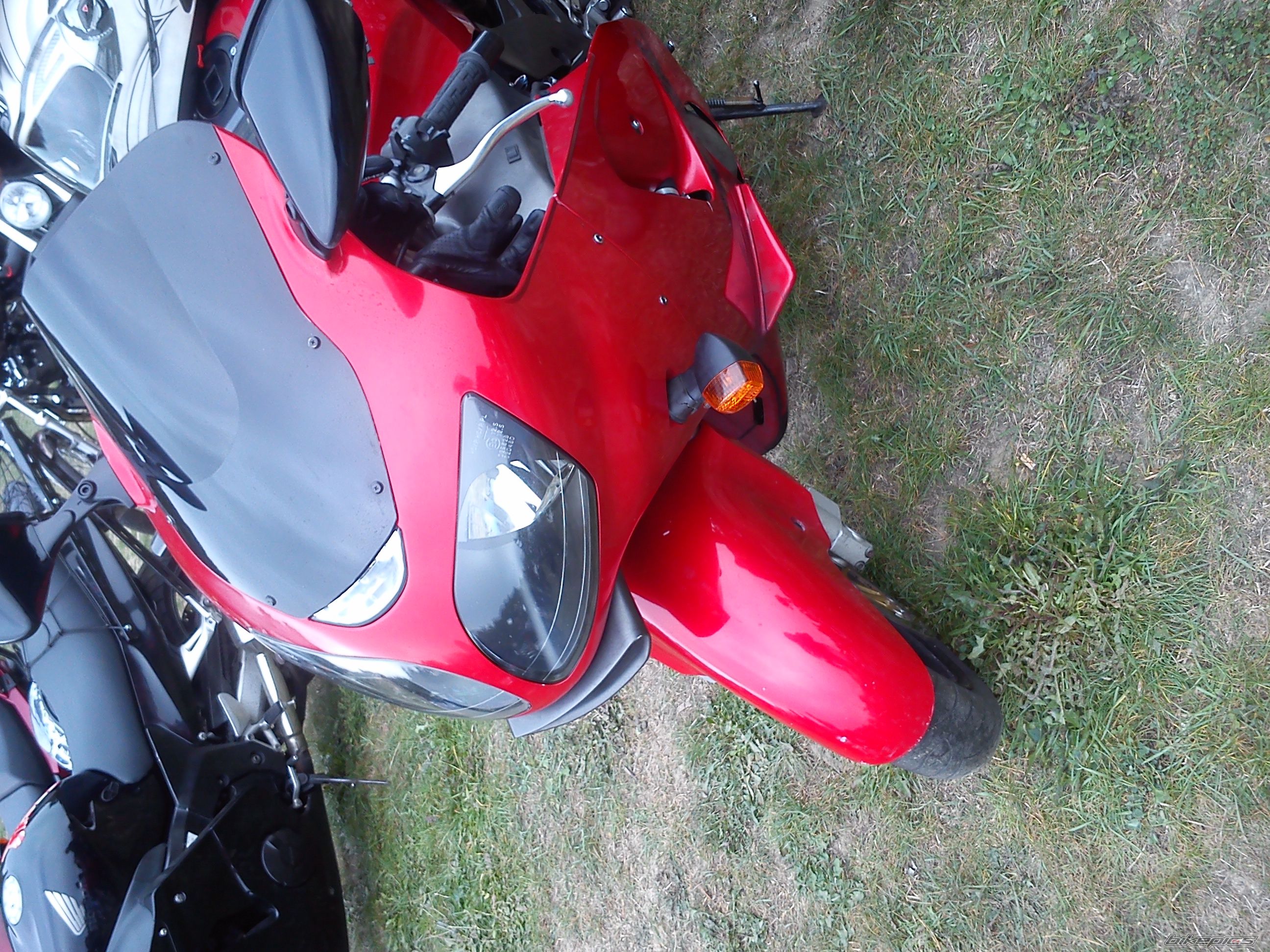 Photo 2758854