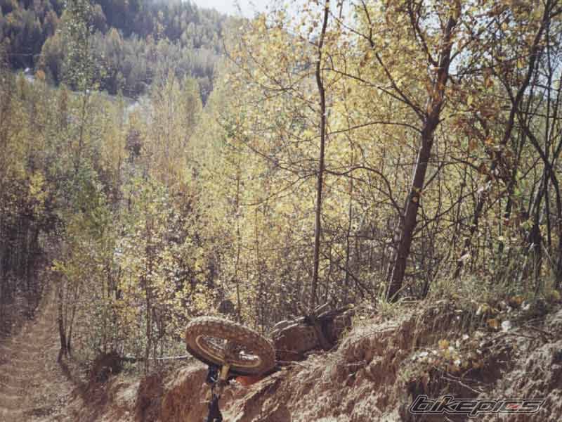 Photo 275887