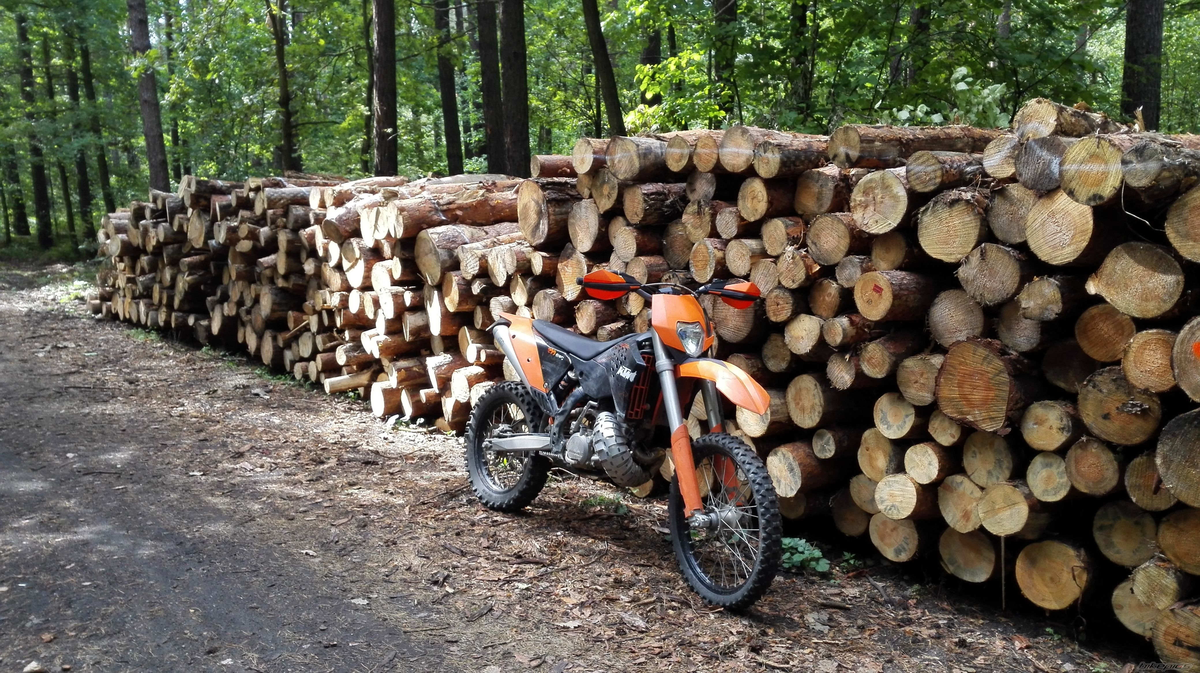 Photo 2758914