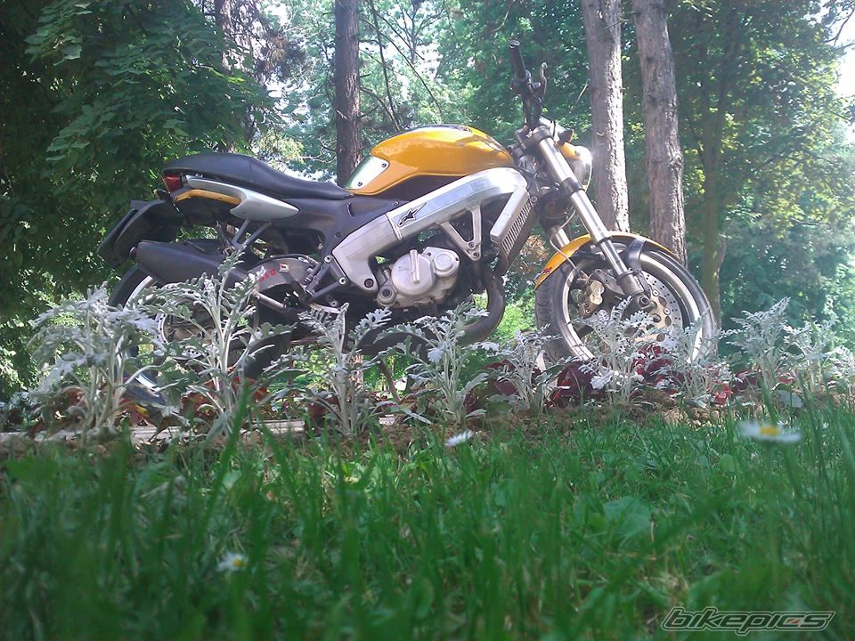Photo 2758925