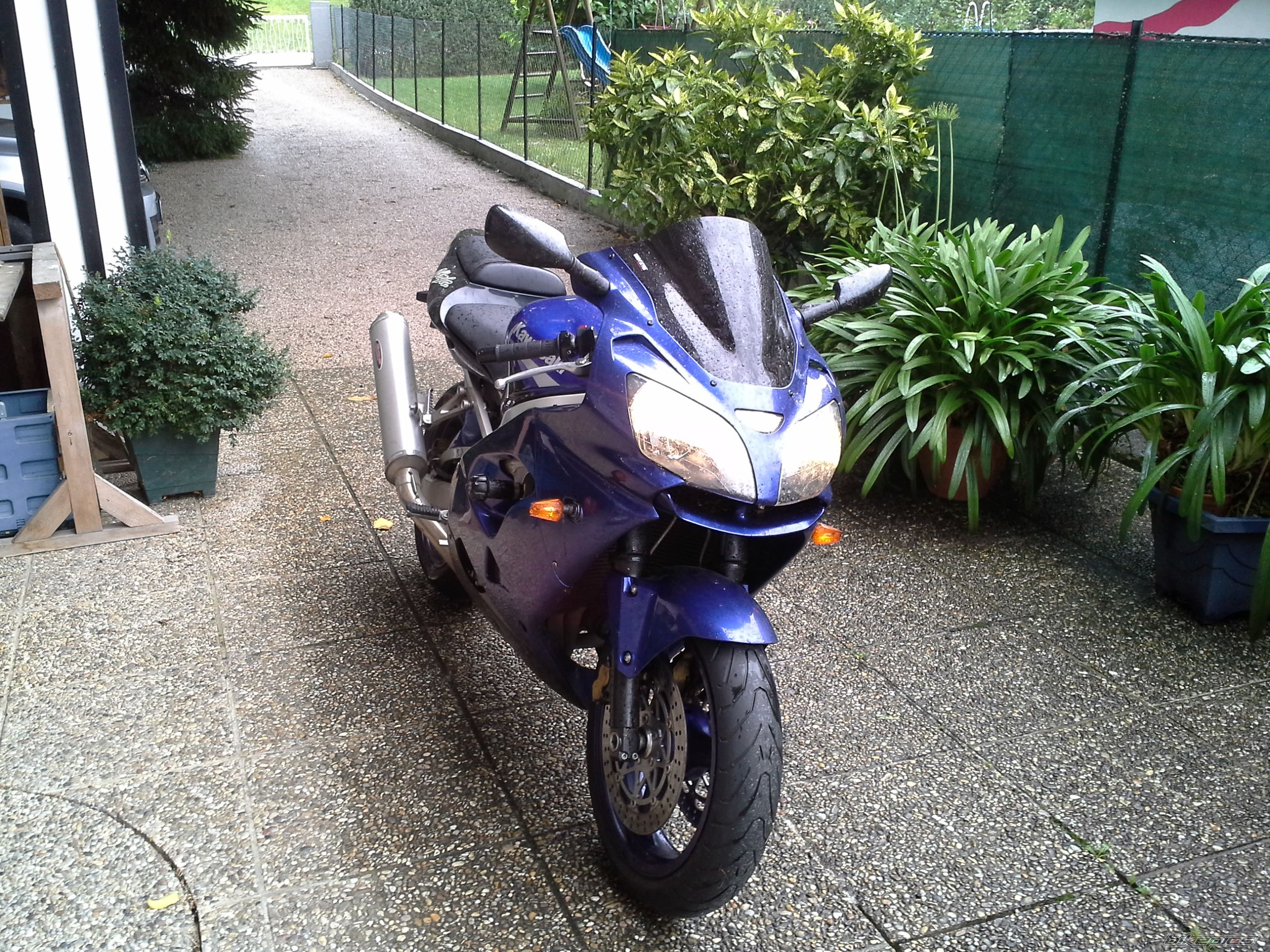 Photo 2758935