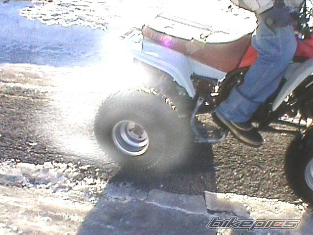 Photo 275902