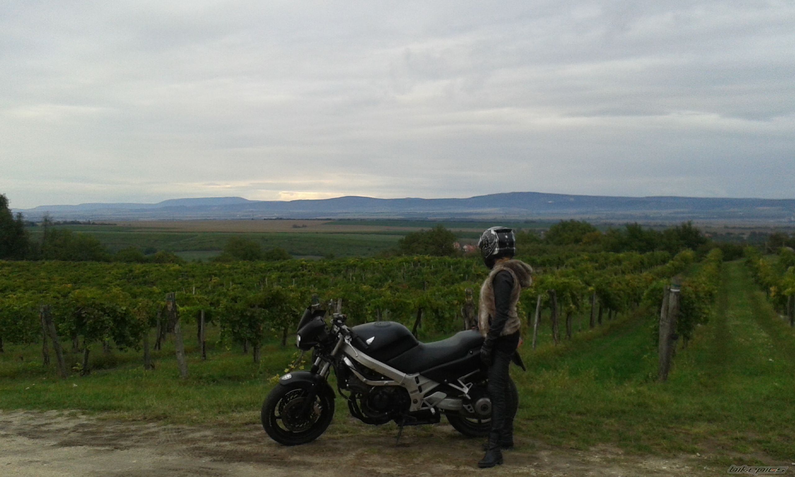 Photo 2759135