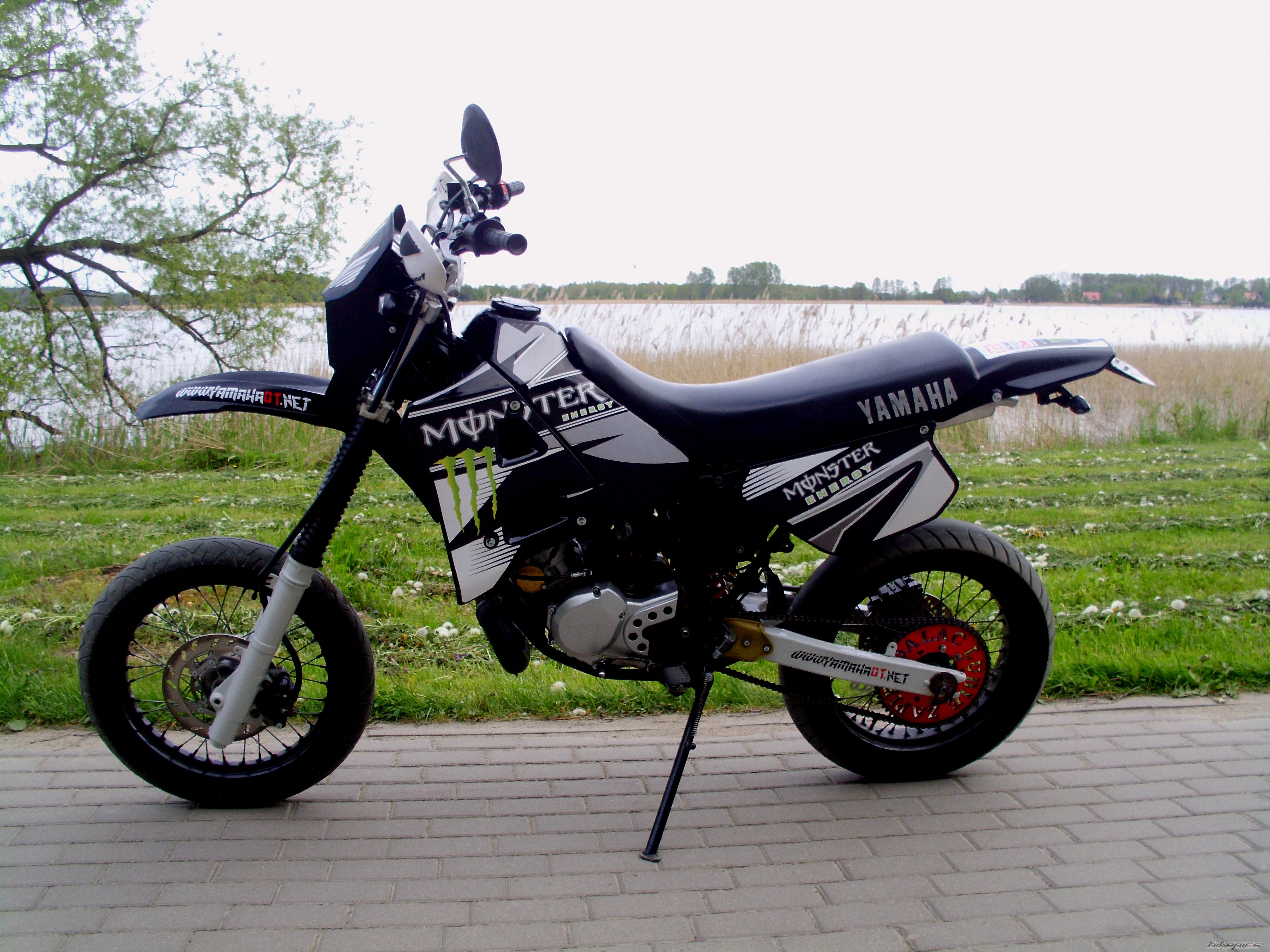 Photo 2759412