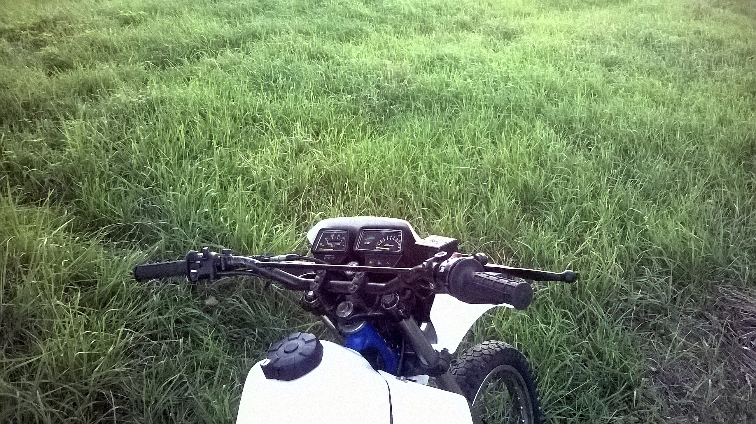 Photo 2759674