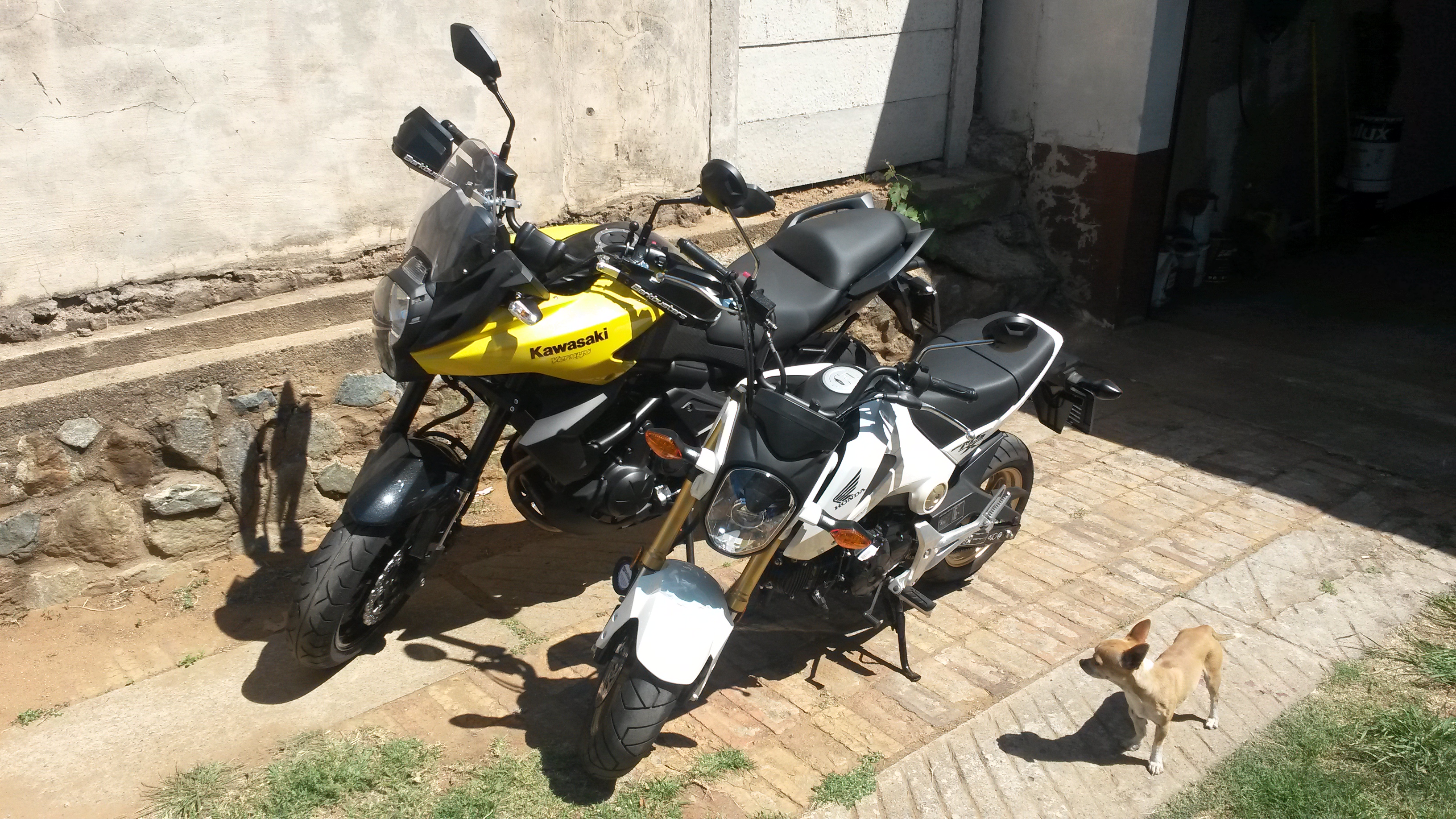 Photo 2759738