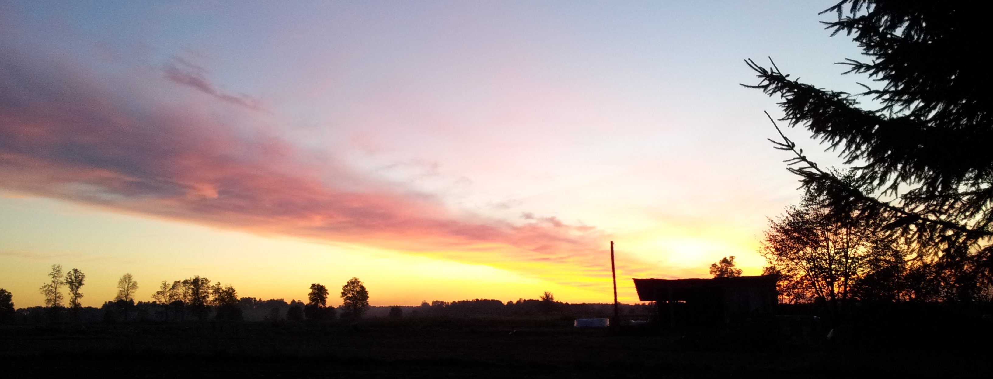 Photo 2759753