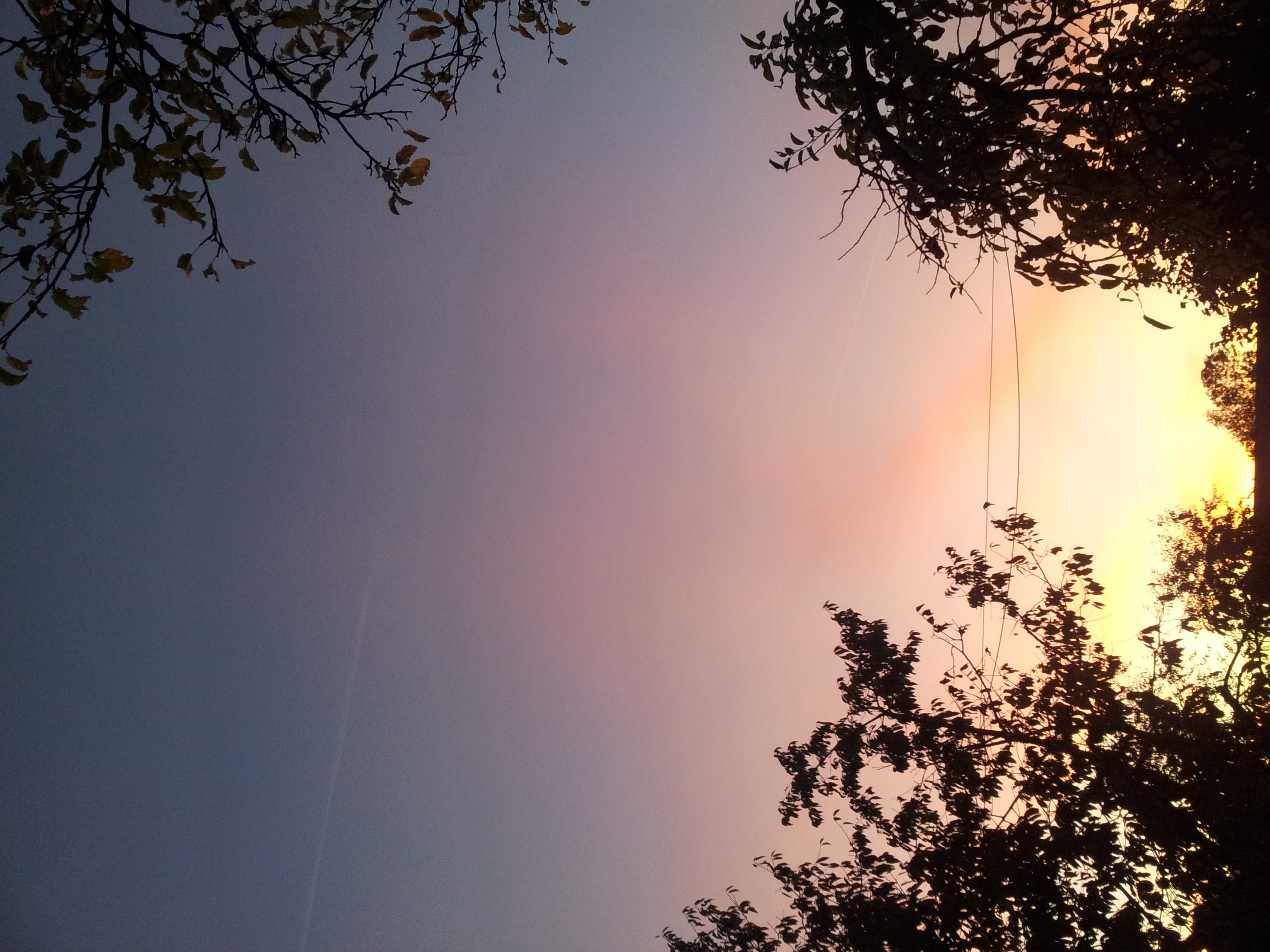 Photo 2759756
