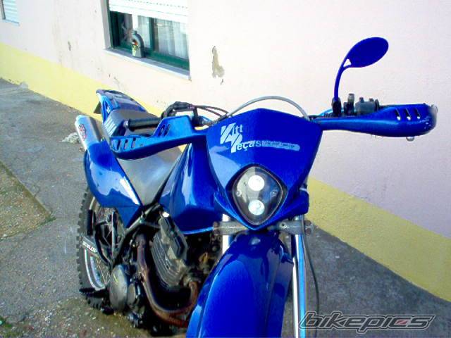 Photo 276003