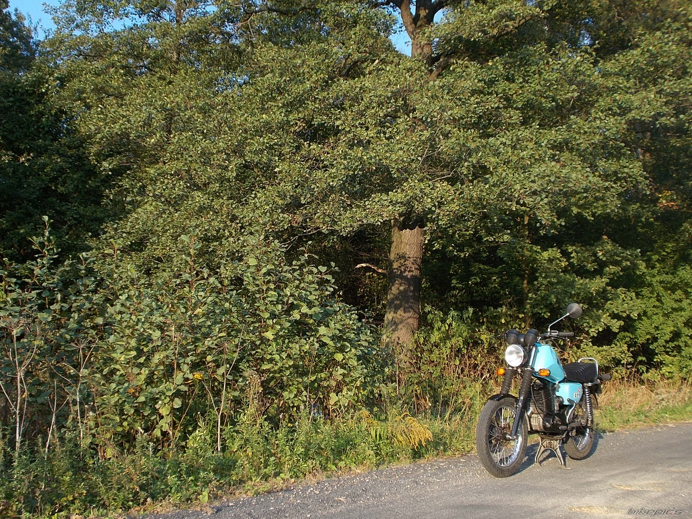 Bike Photo 2760077