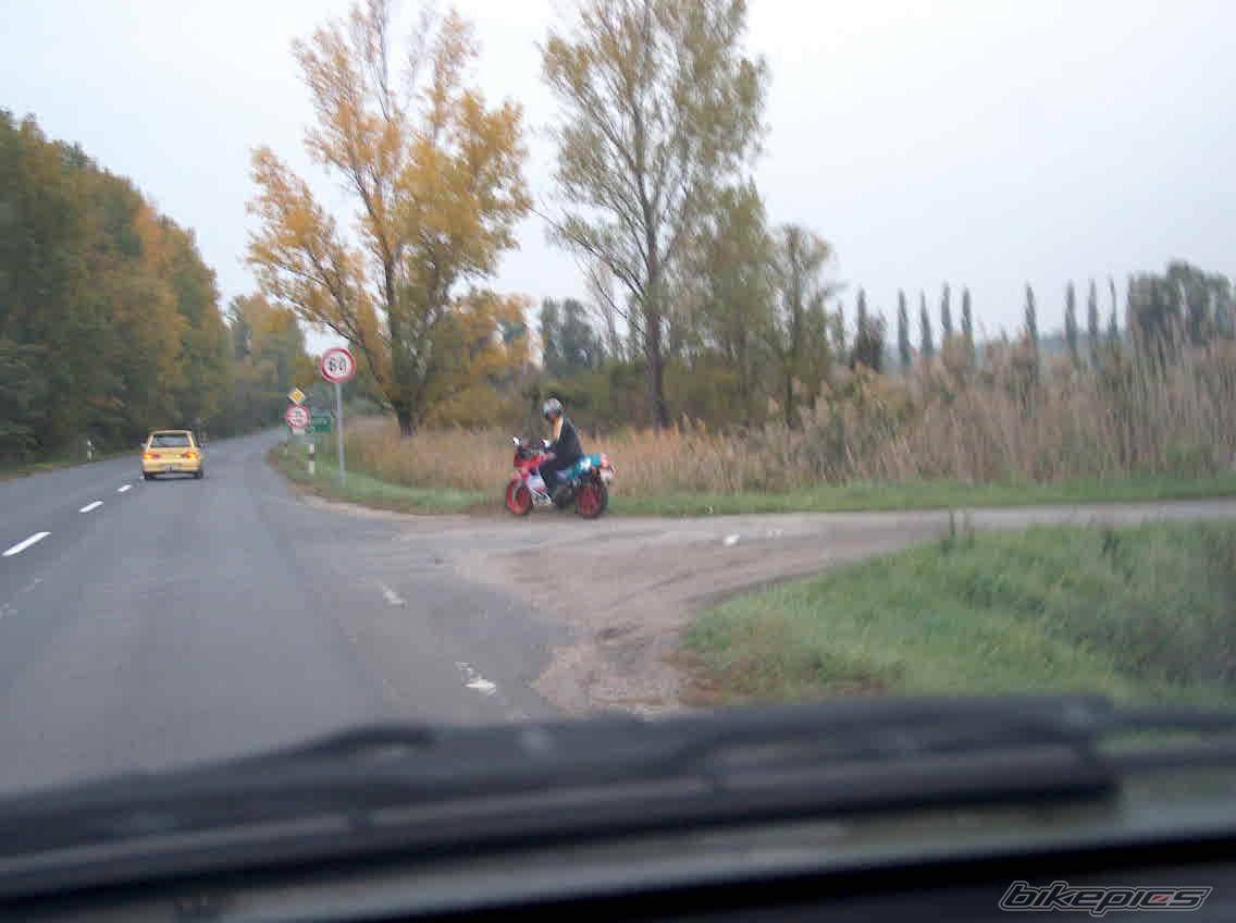 Photo 276060