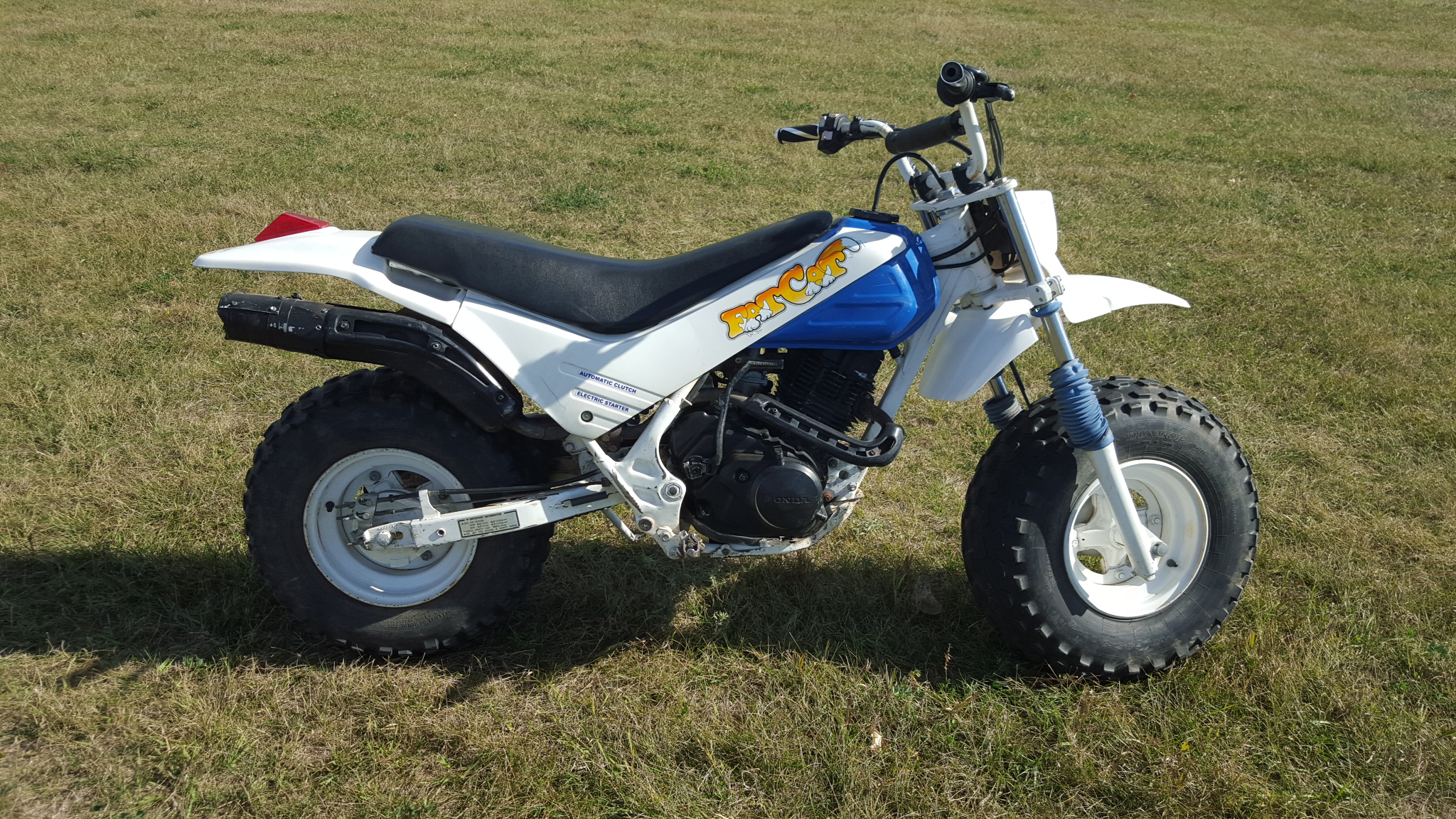 Photo 2760795