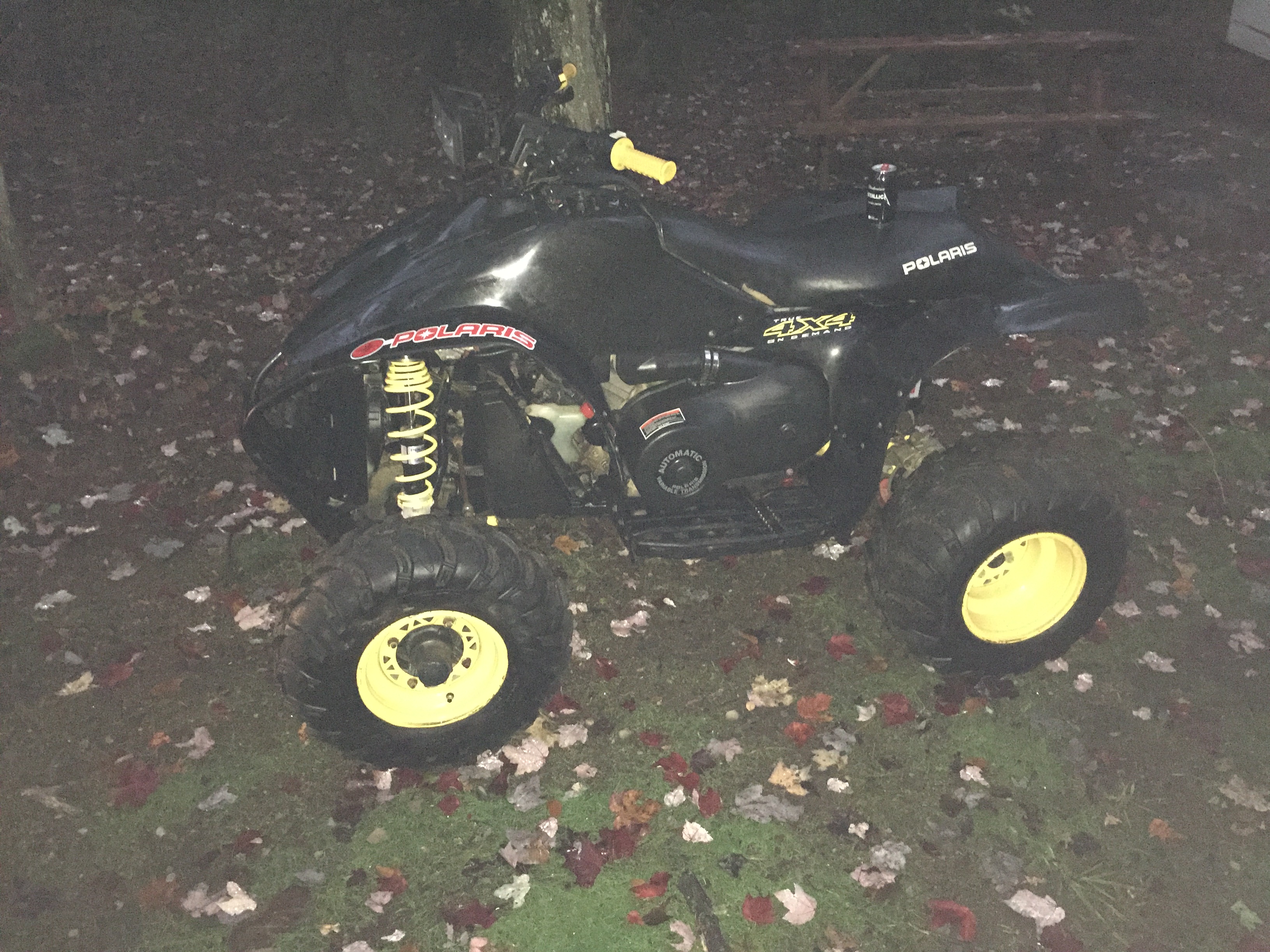 Photo 2760860