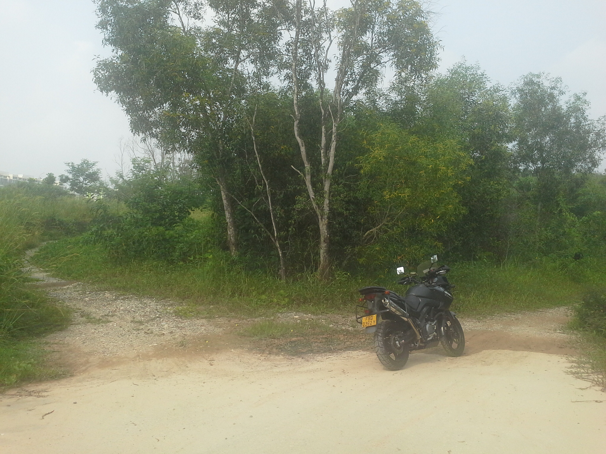 Photo 2761287