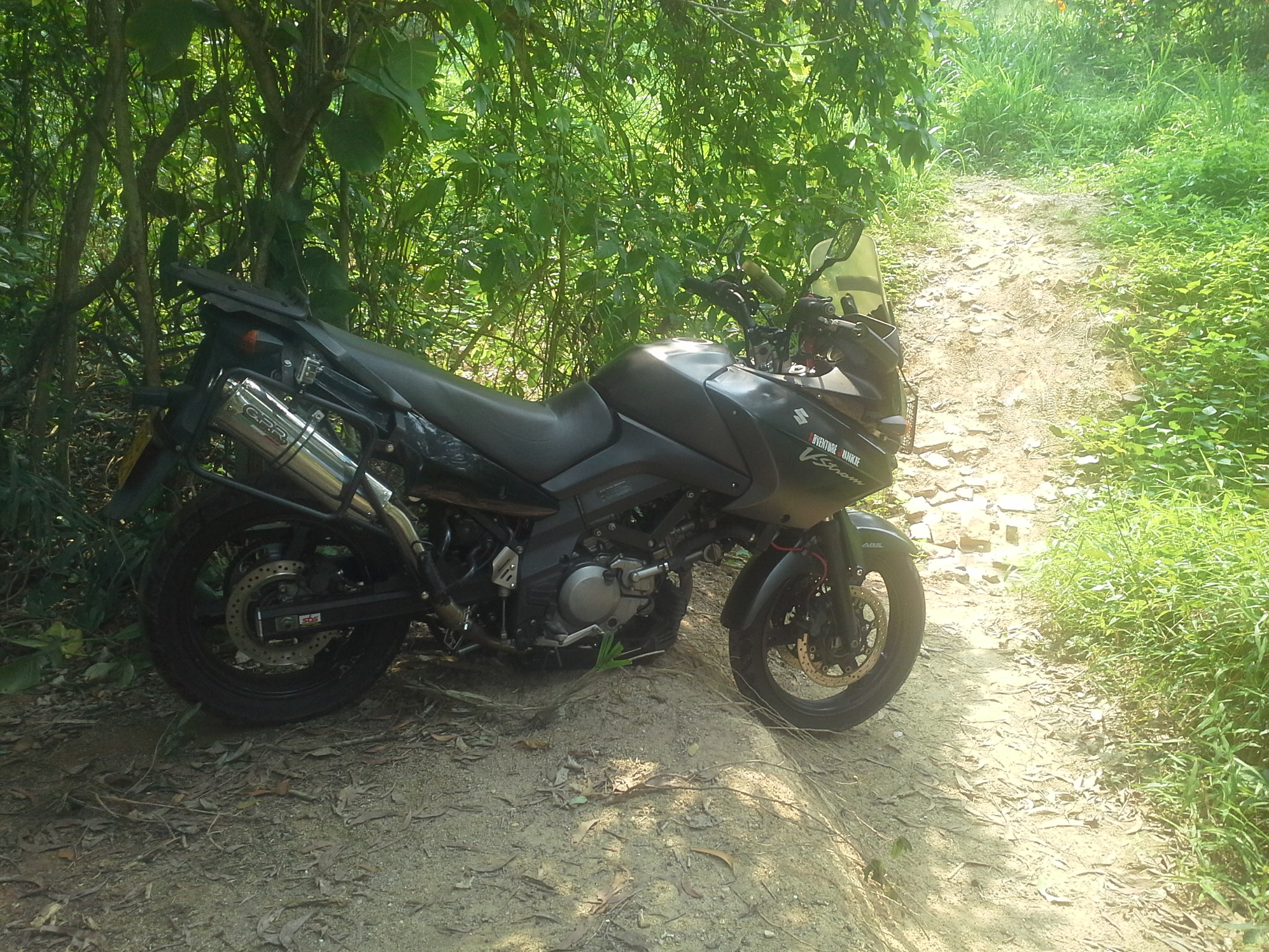 Photo 2761288